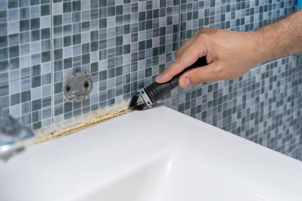 Office Mold Removal Services in Hampton, IA